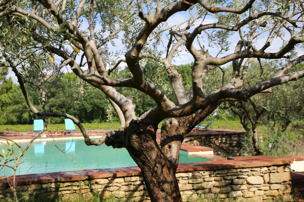 Gite Des Amis Domaine De Mas Caron Caromb المظهر الخارجي الصورة