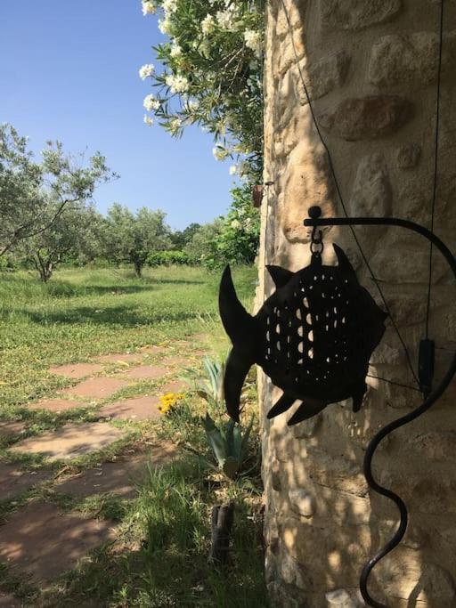 Gite Des Amis Domaine De Mas Caron Caromb المظهر الخارجي الصورة