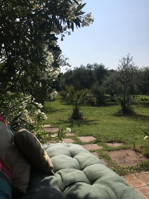 Gite Des Amis Domaine De Mas Caron Caromb المظهر الخارجي الصورة