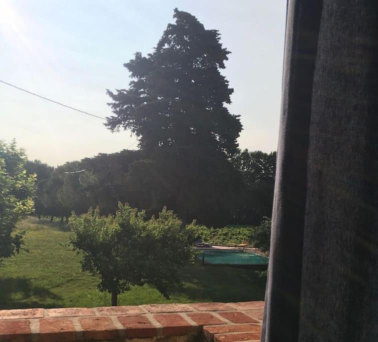 Gite Des Amis Domaine De Mas Caron Caromb المظهر الخارجي الصورة