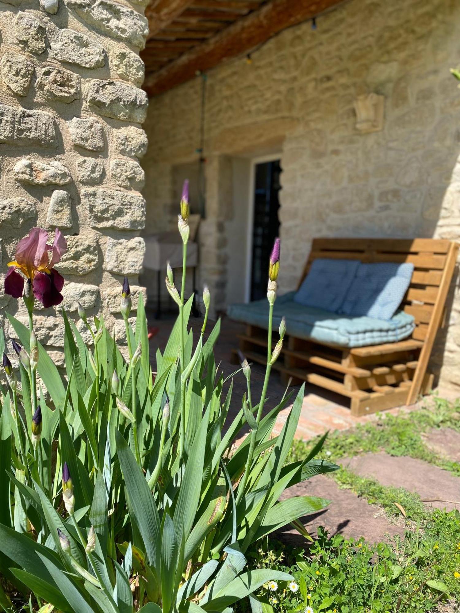 Gite Des Amis Domaine De Mas Caron Caromb المظهر الخارجي الصورة
